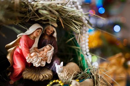 Hast du in der Weihnachtszeit schon was vor? Ich suche nämlich noch einen Esel für die Weihnachtskrippe.