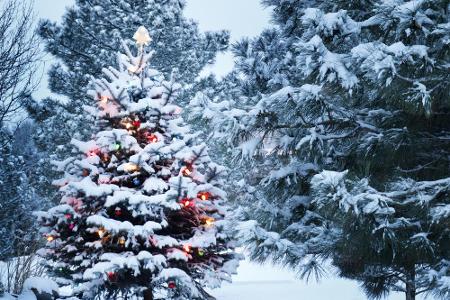 Weihnachten ist keine Jahreszeit. Es ist ein Gefühl. - Edna Ferber
