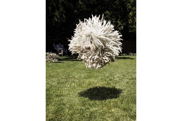 Facebook Mark Zuckerberg