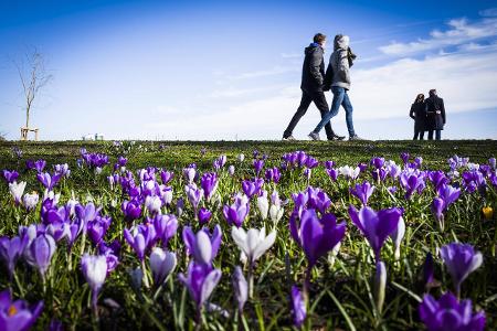 Körper und Geist: 7 Tipps für einen guten Start in den Frühling