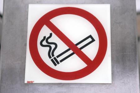 7_Kein Kater Waldmüller.jpg