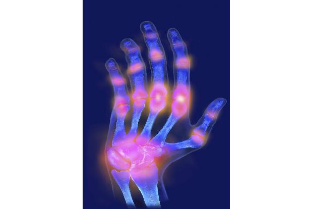 8 Krankheiten_blickwinkel.jpg