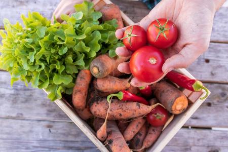10 Falsche Ernährung_Photocase.jpg