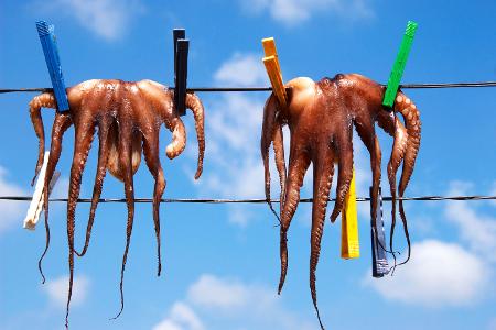 Liebe muss nicht immer zärtlich sein