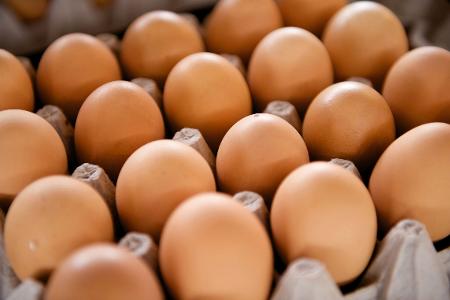 sind diese weisheiten wahr?