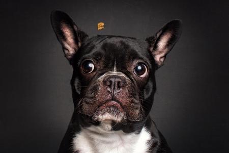 Collection_Vieler-Photography.com (6).jpg