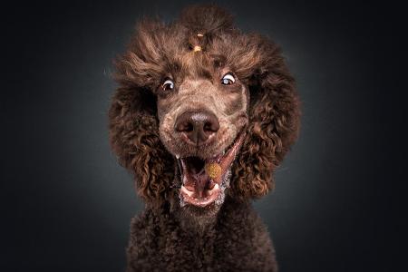 Collection_Vieler-Photography.com (7).jpg