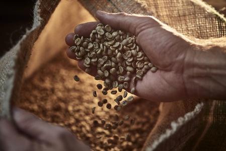 Eine Hand greift in einen Sack voll Kaffeebohnen