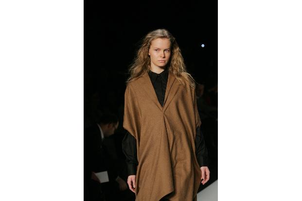 Die wilde Lockenmähne