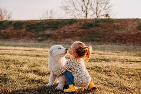 #WirBleibenZuhause Zeitvertreib gegen Langeweile Haustiere