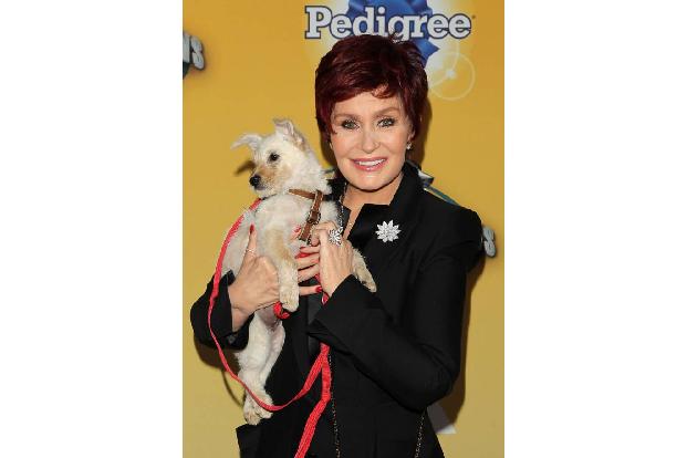 ...erklärte Tierliebhaberin Sharon Osbourne die Schauze voll. Pelze zu tragen sei ein ziemlich altmodischer Weg, der Welt zu...