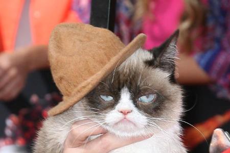 Kein Wunder, dass die Promi-Welt auf den Hut-Zug aufspringt und den Filzgiganten zum Running Gag macht. Ob die stets schlech...