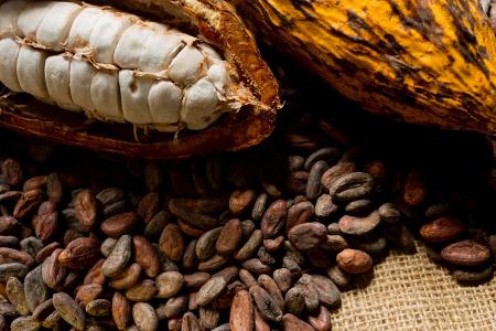 Können Sie diese Lebensmittel erkennen? Kakaofrucht