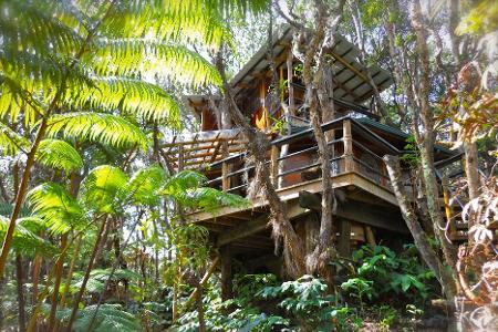schönste baumhäuser