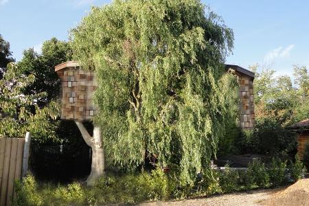 Tropical Treehouse schönste baumhäuser