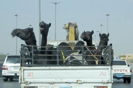 günstigste städte riad saudi-arabien