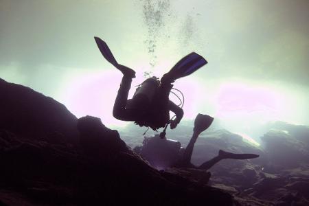 all inclusive tricks premium