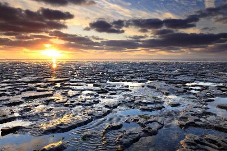 Platz sieben: Die Niederlande feiert nächstes Jahr den 75. Jahrestag des Weltkrieg-Endes und den Eurovision Song Contest. Al...
