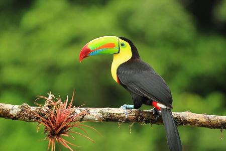 Platz sechs: Costa Rica ist bekannt für seinen nachhaltigen Tourismus und bis 2020 könnte das Land sogar klimaneutral werden...