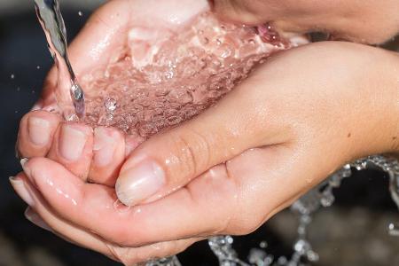 Survival Tipps: So überleben Sie in der Wildnis