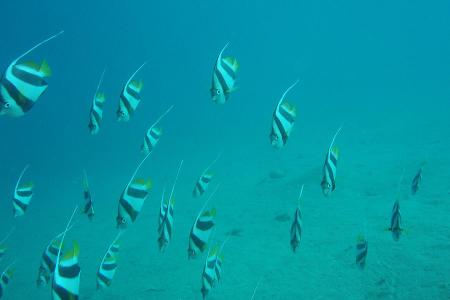 traumstrände ägypten