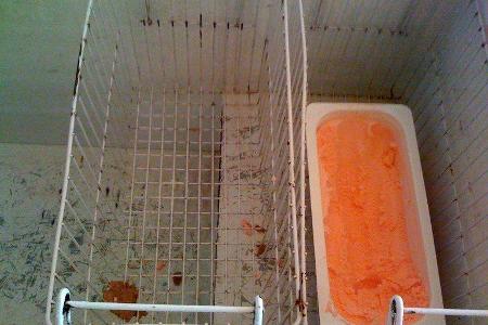 Hotel Colosseum – Sonnenstrand, Bulgarien