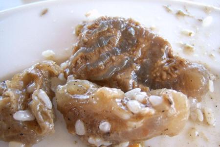 Hotel Colosseum – Sonnenstrand, Bulgarien