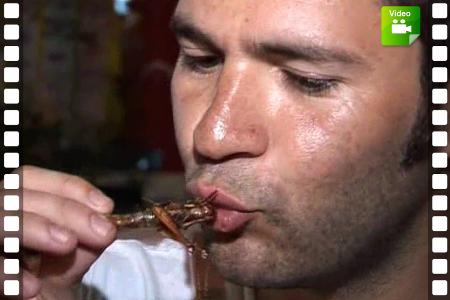 Kakerlaken und Grashüpfer à la carte für Thailand-Touristen