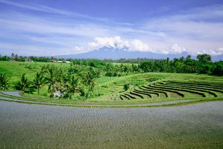 Platz 2: Bali, Indonesien