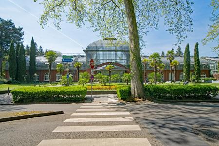 8_Palmengarten Frankfurt_(c)_Pixabay.jpg