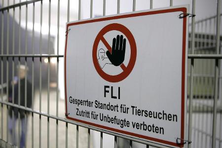 Zaun am Friedrich Loeffler Institut für Tierseuchen