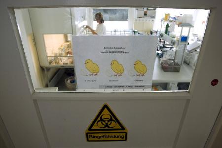 Vogelgrippe-Forschung Friedrich-Loeffler-Institut
