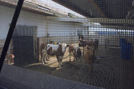 Innenraum Quarantäne Friedrich Löffler Institut Riems