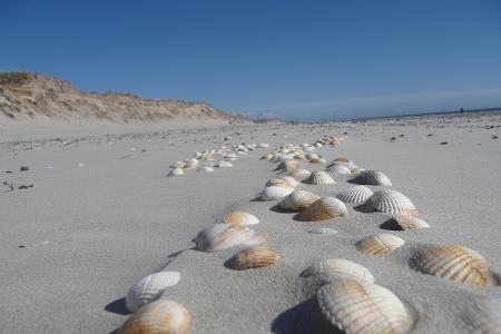 Blavand Dänemark Getty Images.jpg