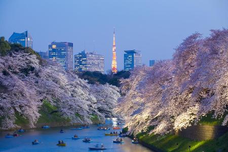 Tokyo Tower getty.jpg