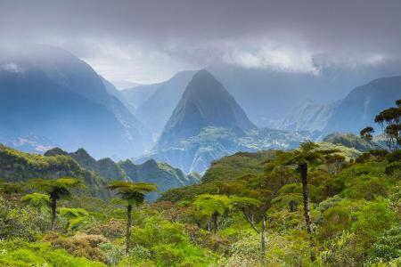 Die französische Insel Île Bourbon heißt heute La Réunion und liegt im indischen Ozean unweit von Mauritius. Nach ihr ist di...