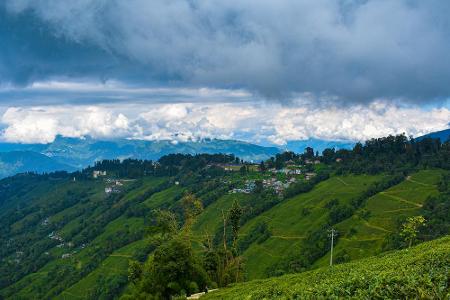 Unter Darjeeling versteht man in Europa einen feinen schwarzen Tee. Die nordindische Region, in der dieser angebaut wird, tr...
