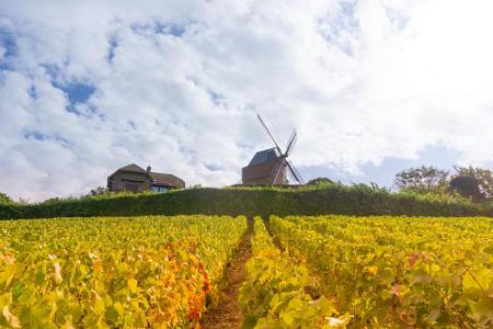 Nur Schaumwein, der aus der historischen Provinz Champagne im nordöstlichen Frankreich stammt, darf sich Champagner nennen. ...