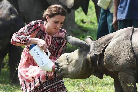 ...Babys. Erst bekam das drollige Nashorn-Junge einen großen Schluck aus dem XXL-Milchkarton, bevor sich dann auch...