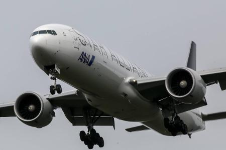 All Nippon Airways imago Russian look.jpg