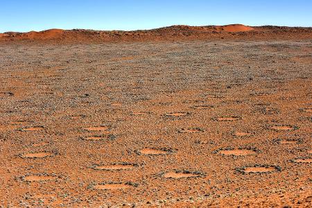 Feenkreise Namibia getty images.jpg