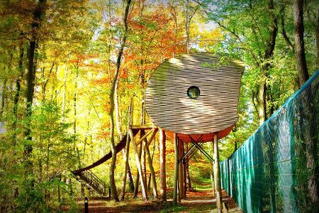 7.2 Tree Inn kleiner Herbst_Baumhaus1.jpg