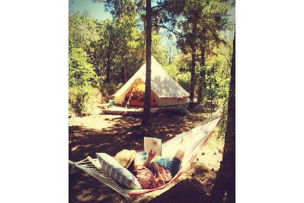 9.3.1 ForestDays_00032.jpg