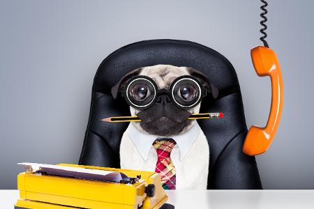 Bewerbungsgespräch Fragen.jpg