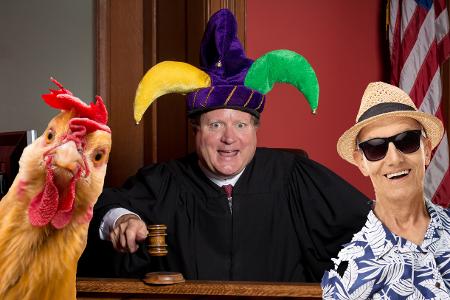 Skurrile Klagen und Urteile.jpg