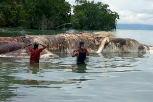 Facebook Mbs Sangadji.PNG