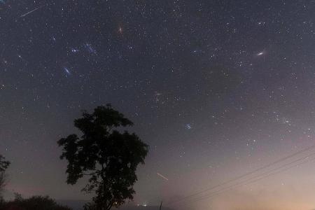 3 Geminide_Hindustan Times.jpg