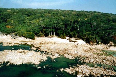 In this photo released by the Indian Coast Guard, a view of ...