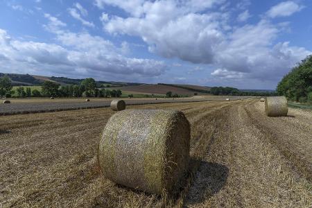 Strohballen auf einem Feld, Th�ringen, Deutschland, Europa _...
