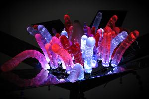 Dildos